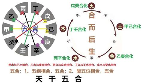 戊癸合老少配|天干五合的讲解